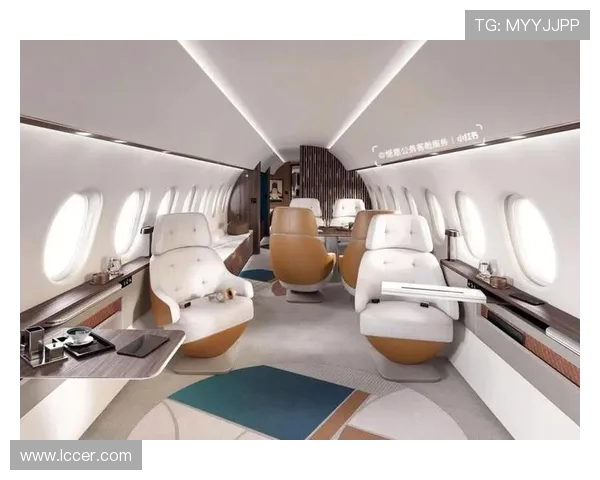 飞机客舱内饰材料的抗菌等级