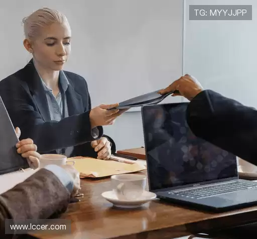 行业领先的理由